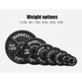 Wholesale Customized Casting Iron 2.5lb 5lb 10 lbs 25lb 35lb 45 lb Training Lifting Weightlifting Weight Bumper Plates